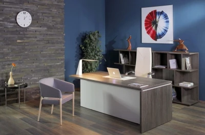 Кабинет руководителя Terra Мали